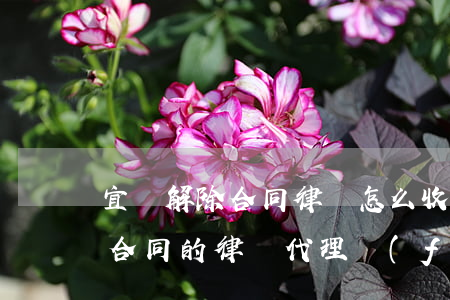 宜興解除合同律師怎么收費(fèi)(解除合同的律師代理費(fèi)如何收取)