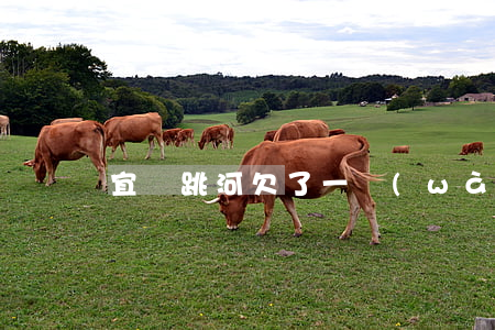 宜興跳河欠了一萬(wàn)信用卡