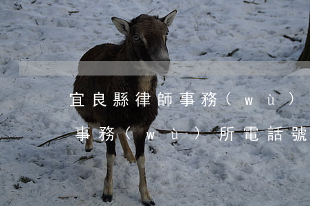 宜良縣律師事務(wù)所在哪里(宜春律師事務(wù)所電話號碼)