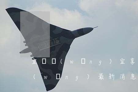 宜貸網(wǎng)宜享逾期未回款(宜貸網(wǎng)最新消息)