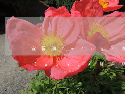 宜貸網(wǎng)逾期太多怎么辦(各種網(wǎng)貸逾期怎么辦)