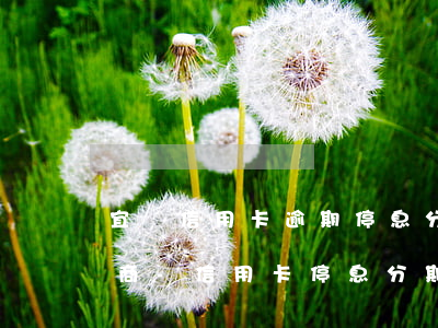 宜賓信用卡逾期停息分期怎么協(xié)商-信用卡 停息分期