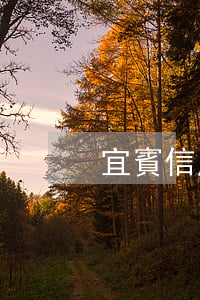 宜賓信用卡逾期情況