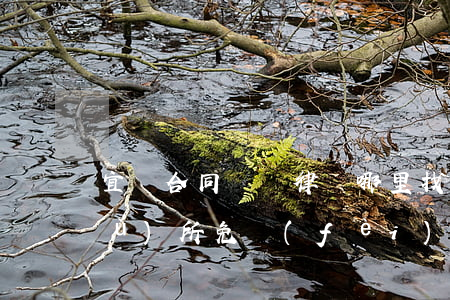 宜賓合同糾紛律師哪里找(宜賓律師事務(wù)所免費(fèi)咨詢電話)
