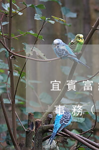 宜賓富紳律師事務(wù)所(宜賓富紳律師事務(wù)所地址)