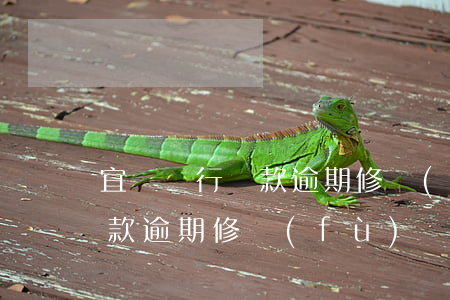 宜賓銀行貸款逾期修復(fù)(宜賓銀行貸款逾期修復(fù))
