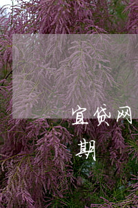 宜贷网的债权贷有逾期 宜贷网的债权贷有逾期