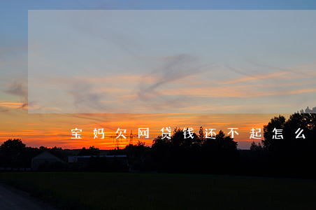 宝妈欠网贷钱还不起怎么办