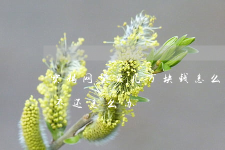 宝妈网贷欠几万块钱怎么办(网贷欠几百块钱不还怎么办)