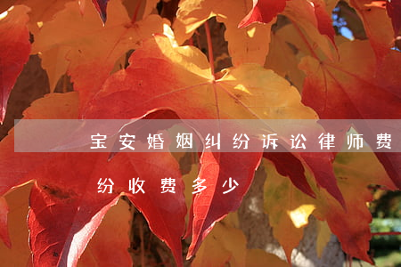 宝安婚姻纠纷诉讼律师费用多少(律师财产纠纷收费多少)