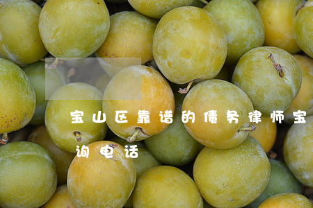 宝山区靠谱的债务律师 宝山区律师事务所咨询电话