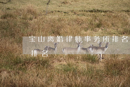 宝山离婚律师事务所排名(宝山区律师事务所排名)