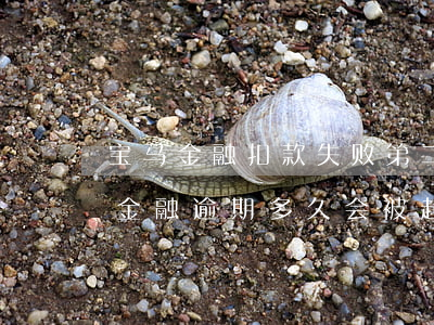宝马金融扣款失败第二天还算不算逾期（宝马金融逾期多久会被起诉）