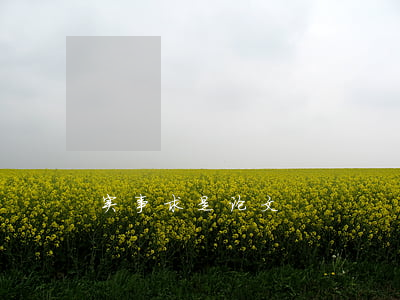 实事求是论文