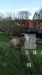 实体商铺免息分期付款 实体店分期利息怎么算