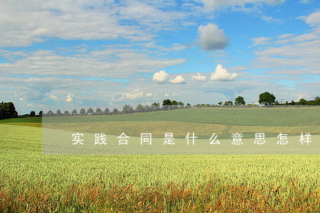 实践合同是什么意思,怎样才是实践合同