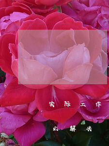 实际工作中如何避免合同纠纷(合同有争议怎么解决)