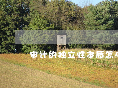 审计的独立性本质怎么界定