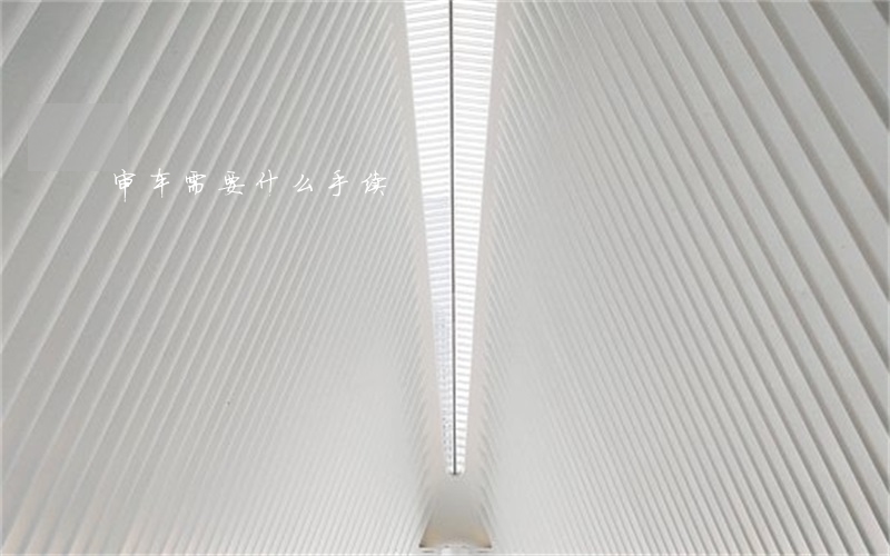 审车需要什么手续