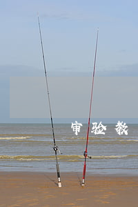 审验教育完事还显示逾期未审验-