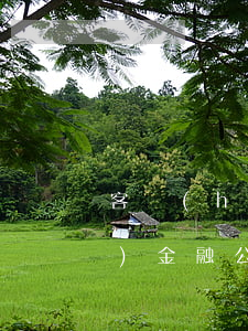 客戶(hù)逾期_貸款公司扣車(chē)(金融公司做的車(chē)貸逾期車(chē)子被扣走不想要了)