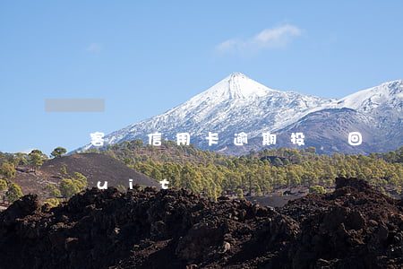 客戶信用卡逾期投訴回復(fù)處理 fruit詞組