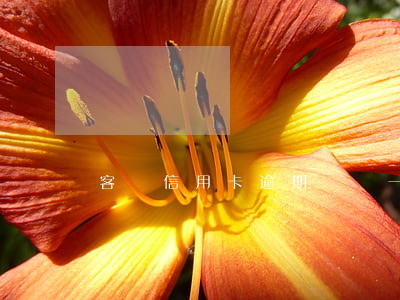 客戶信用卡逾期級別(一個方一個令讀什么)