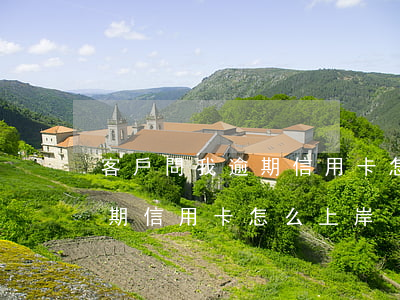 客戶問我逾期信用卡怎么上岸的（客戶問我逾期信用卡怎么上岸）