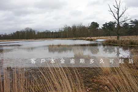 客戶本金逾期多久可起訴