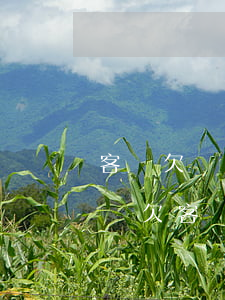 客戶欠貨款不還怎么辦可以報(bào)警嗎（欠客戶貨款無(wú)力償還）