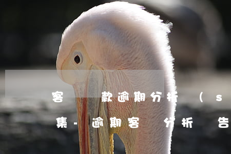 客戶貸款逾期分析數(shù)據(jù)集-逾期客戶分析報告