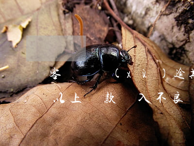 客戶連續(xù)逾期不能貸款(逾期60天以上貸款納入不良)