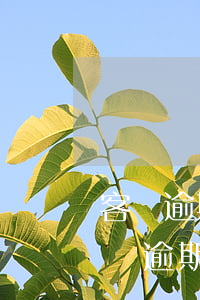 客戶逾期了給客戶經(jīng)理停單(客戶逾期了客戶經(jīng)理會怎么樣)