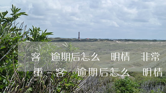 客戶逾期后怎么說明情況非常嚴(yán)重-客戶逾期后怎么說明情況非常嚴(yán)重呢
