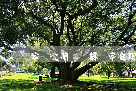 客戶逾期問題解決率(逾期客戶案例分析)