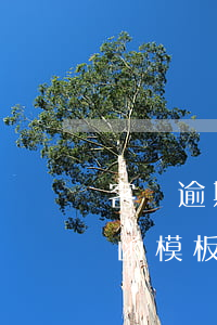 客戶逾期怎么催收意見-客戶逾期欠款催收函模板