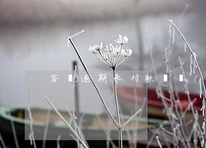 客戶逾期未付款開發(fā)商收取利息-