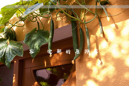 客戶逾期的原因（客戶逾期原因分類）