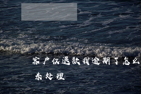 客户仅退款我逾期了怎么办(买家仅退款逾期未处理)