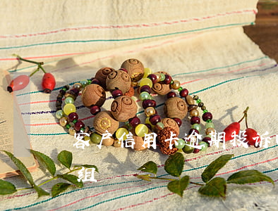 客户信用卡逾期投诉回复处理 fruit词组