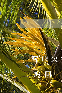 客户欠钱起诉他跑了(客户欠钱跑路了要怎么追回)