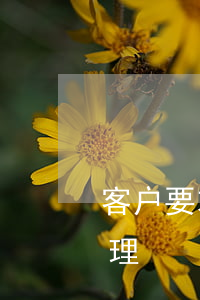 客户要求退款如何安抚(客户要求退款如何处理)