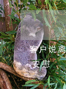 客户说离婚了很开心怎么回复(客户离婚怎么安慰)