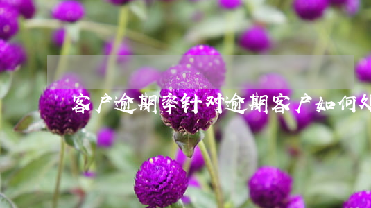 客户逾期率 针对逾期客户如何处理