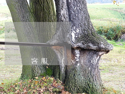 客服協(xié)商信用卡