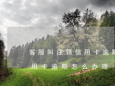 客服叫注销信用卡逾期怎么办(客服叫注销信用卡逾期怎么办理)