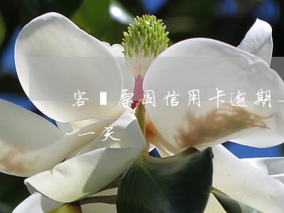 客觀原因信用卡逾期-客觀原因信用卡逾期一天