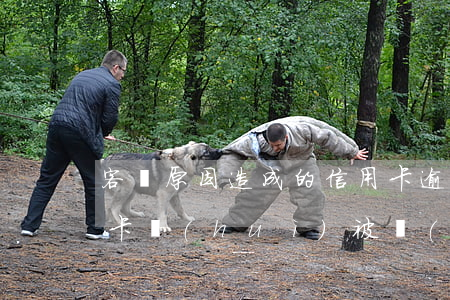 客觀原因造成的信用卡逾期(什么情況下信用卡會(huì)被認(rèn)為嚴(yán)重逾期)