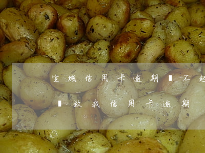 宣城信用卡逾期還不起怎么辦(別人欠錢不還導致我信用卡逾期)