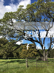 宣城勞動(dòng)糾紛律師怎么收費(fèi)(勞動(dòng)糾紛律師收費(fèi)多少)